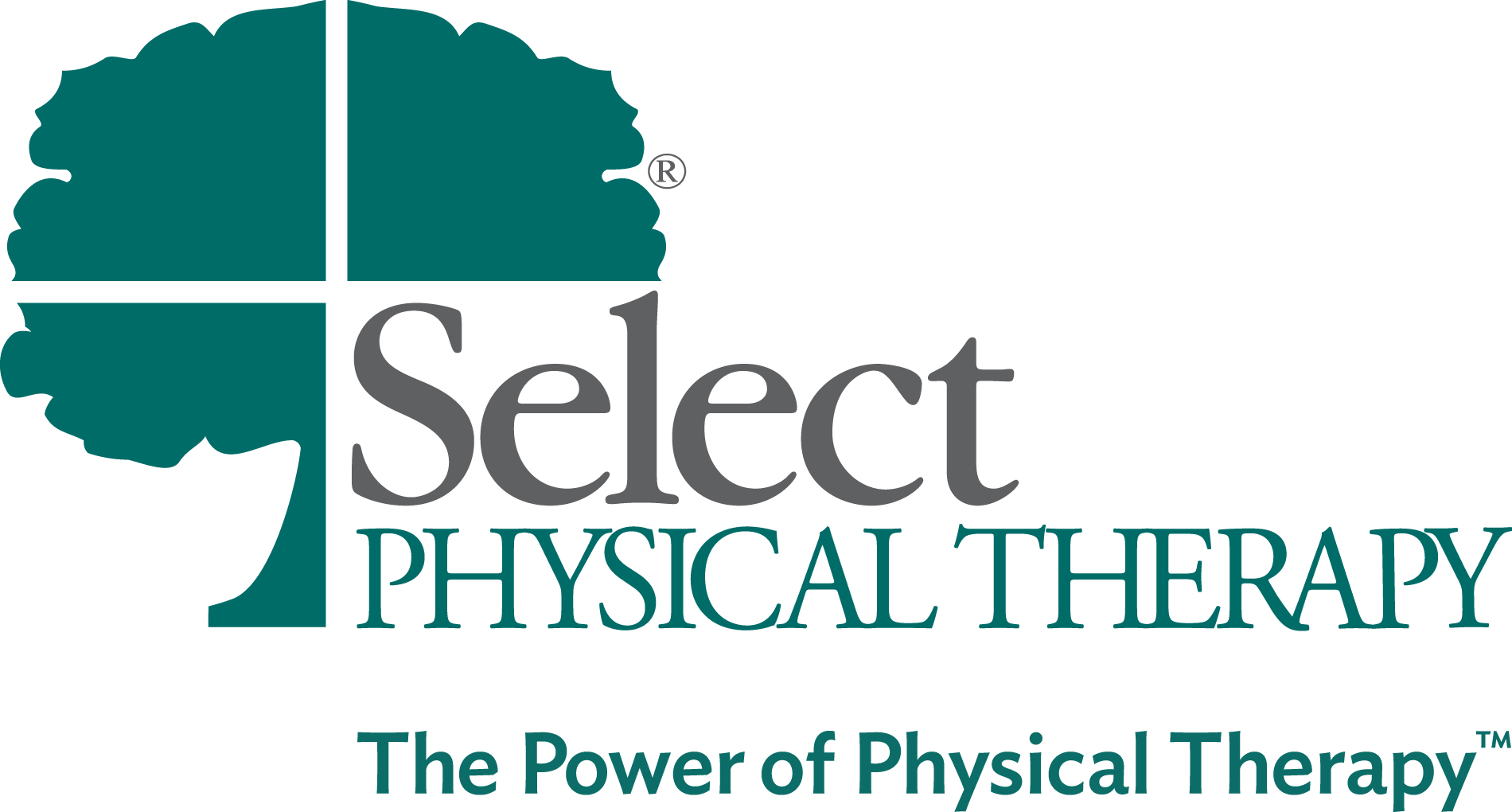 Select Physical Therapy logo 